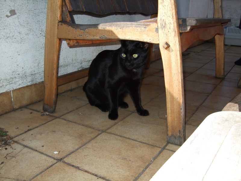 Ostern 2007 Orleshausen 033 